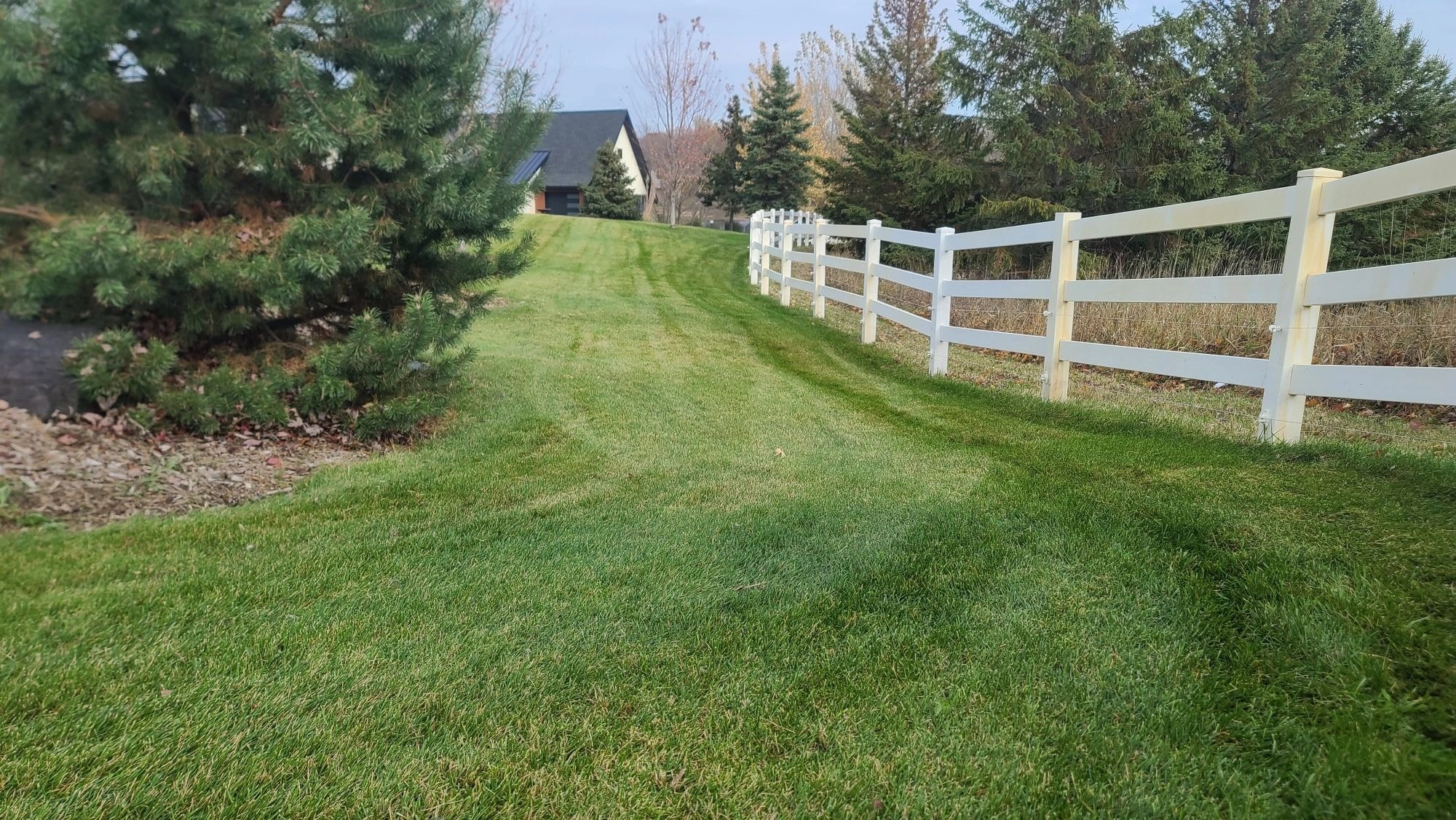 Property Fence & Grounds
